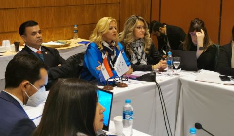 Grupos de trabajo del FEM y CONARE culminaron exitosamente las reuniones técnicas preparatorias del MERCOSUR realizadas en Paraguay
